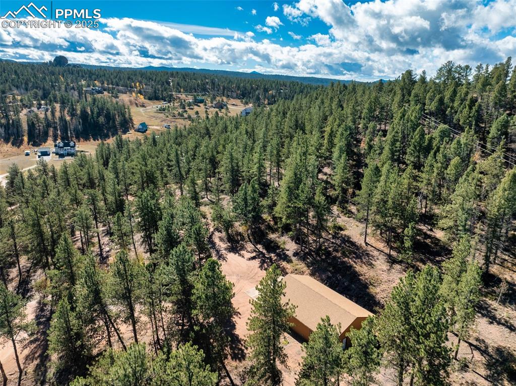 209 Stonehenge Drive Florissant CO 80816