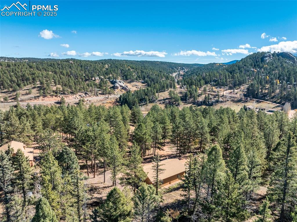 209 Stonehenge Drive Florissant CO 80816