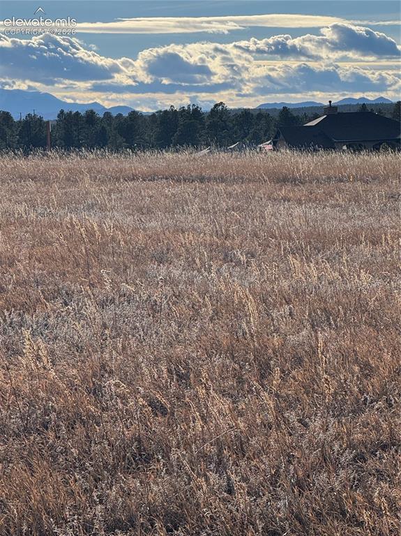 11691 Rambling Road Colorado Springs CO 80908