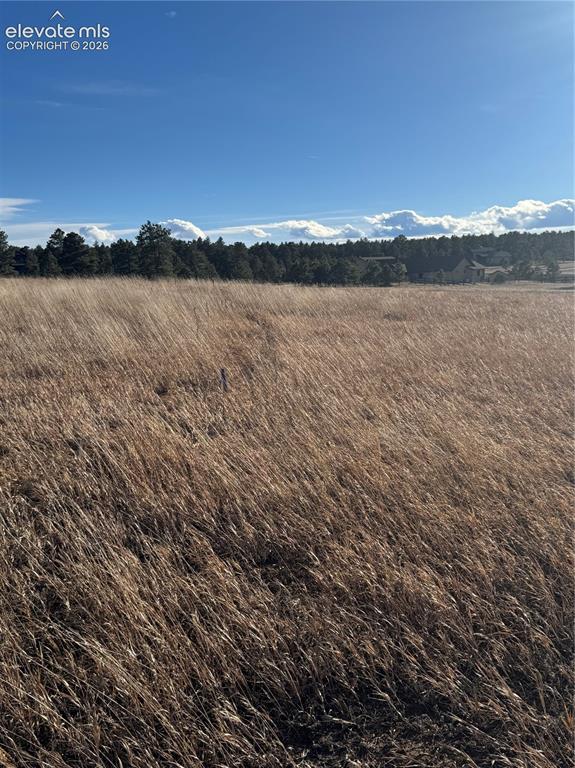 11691 Rambling Road Colorado Springs CO 80908