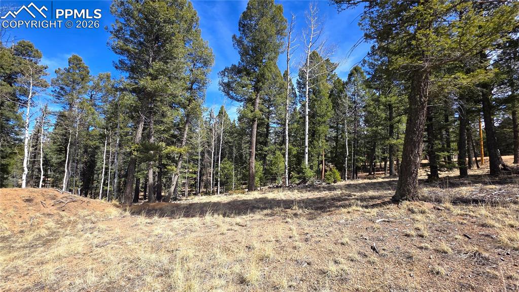 19 Serenity Circle Florissant CO 80816