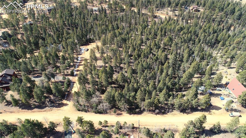 19 Serenity Circle Florissant CO 80816