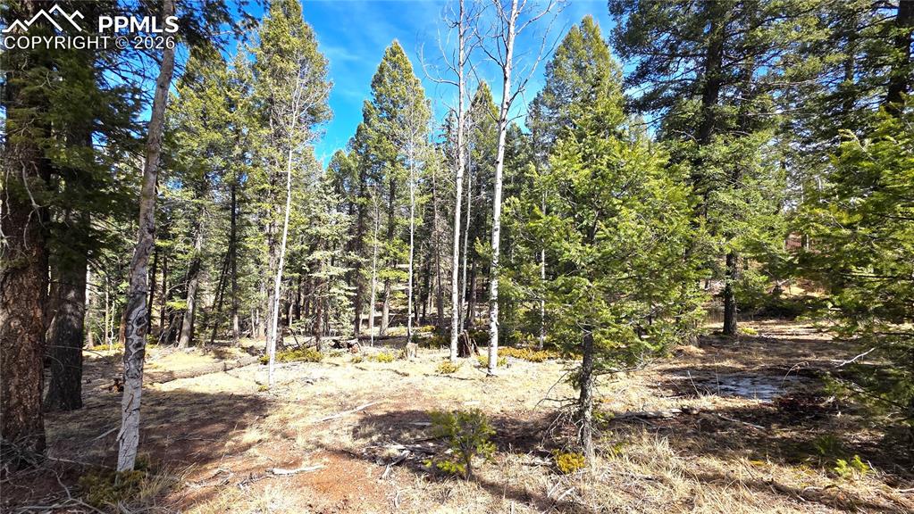 19 Serenity Circle Florissant CO 80816