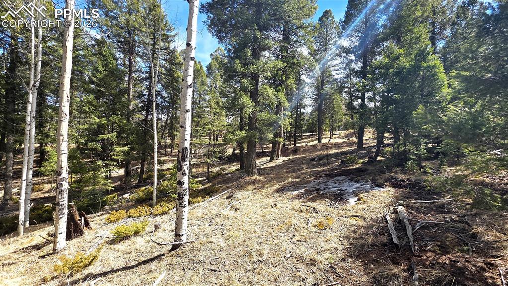 19 Serenity Circle Florissant CO 80816