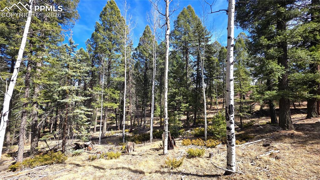 19 Serenity Circle Florissant CO 80816