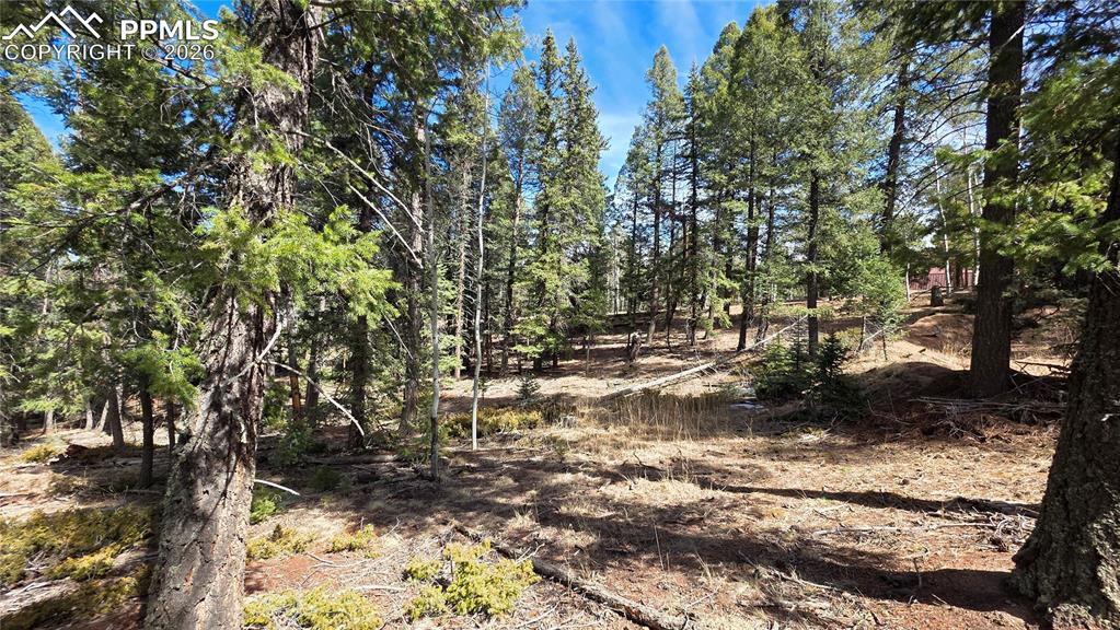 19 Serenity Circle Florissant CO 80816