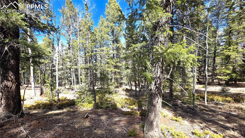 19 Serenity Circle Florissant CO 80816