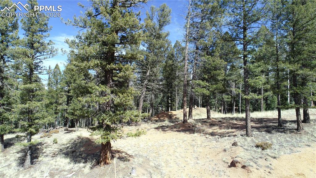 19 Serenity Circle Florissant CO 80816