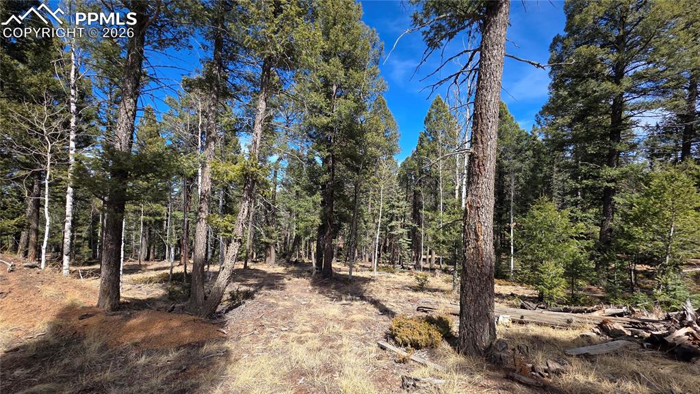 19 Serenity Circle Florissant CO 80816