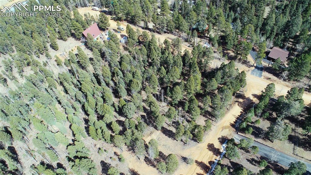 19 Serenity Circle Florissant CO 80816