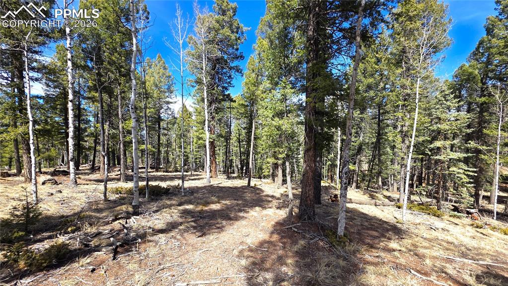 19 Serenity Circle Florissant CO 80816