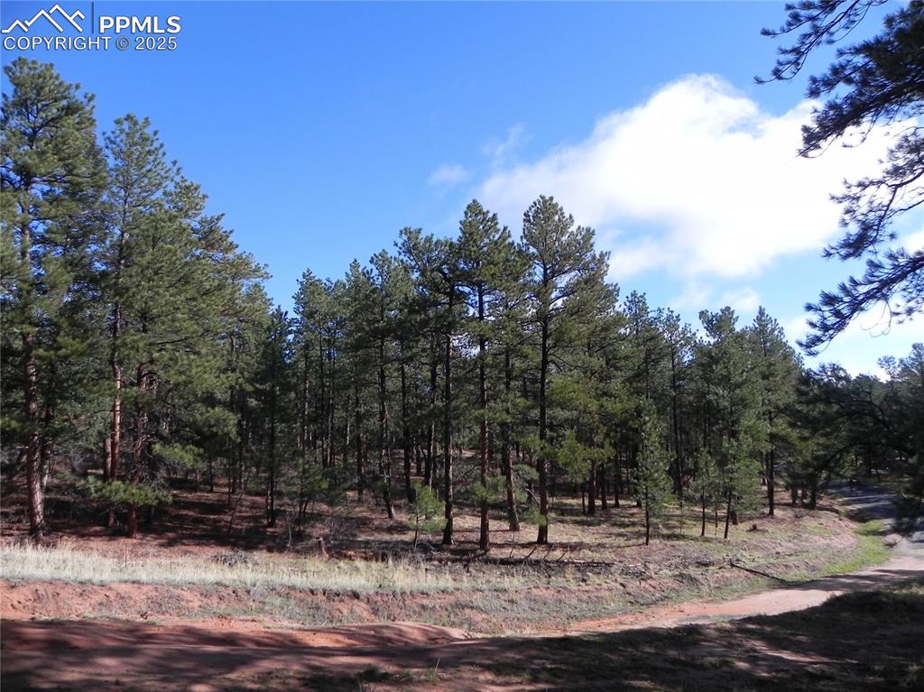 4467 Delaware Drive Larkspur CO 80118