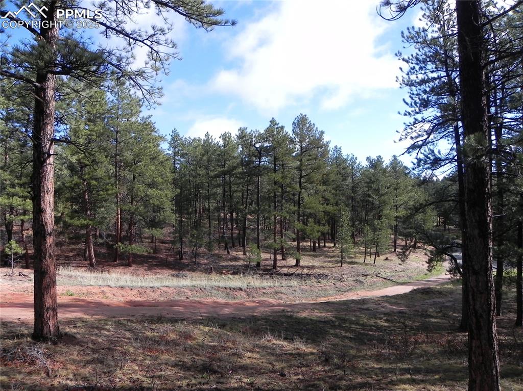 4467 Delaware Drive Larkspur CO 80118