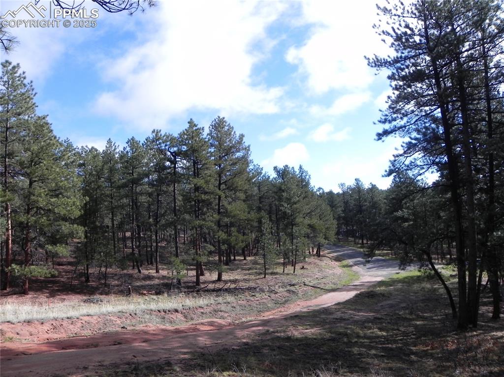 4467 Delaware Drive Larkspur CO 80118