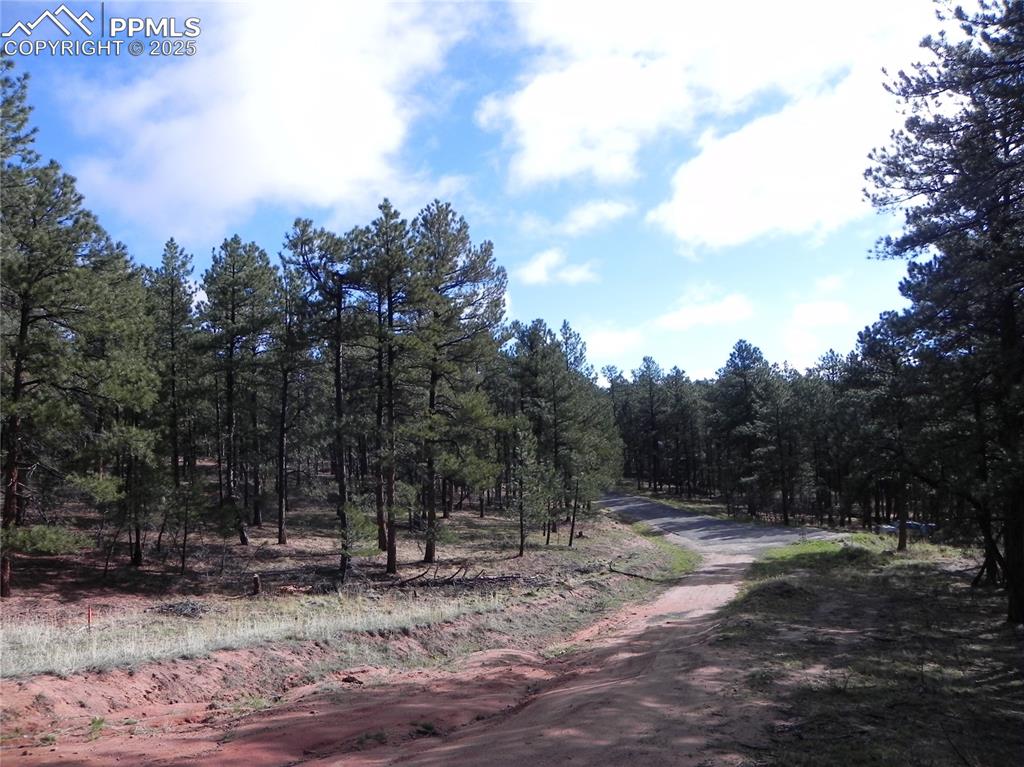 4467 Delaware Drive Larkspur CO 80118