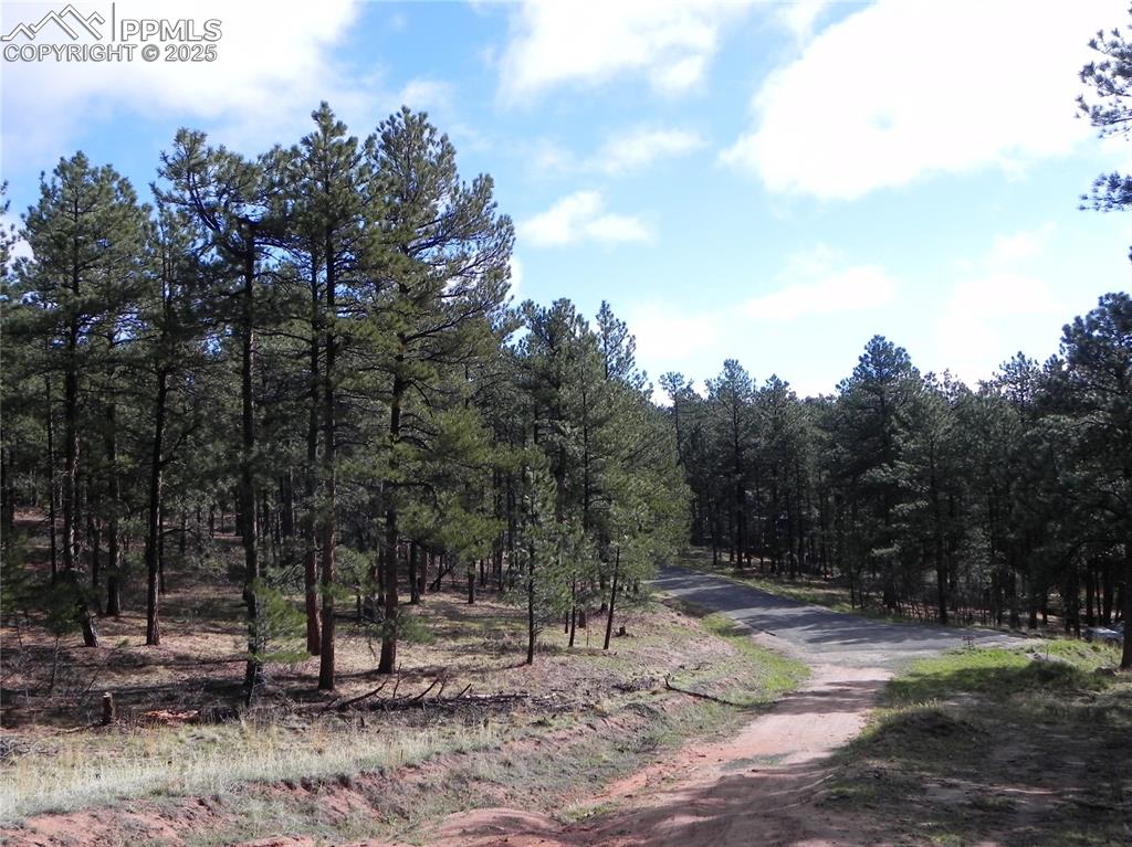 4467 Delaware Drive Larkspur CO 80118
