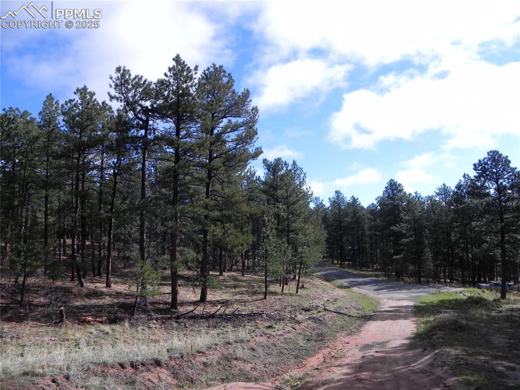 4467 Delaware Drive Larkspur CO 80118