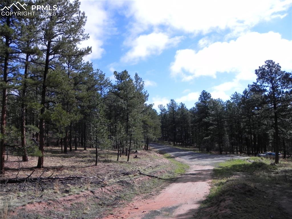 4467 Delaware Drive Larkspur CO 80118