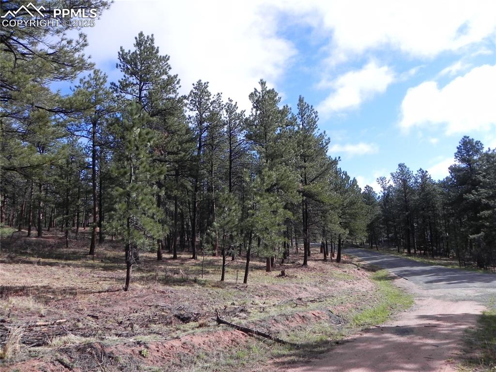 4467 Delaware Drive Larkspur CO 80118