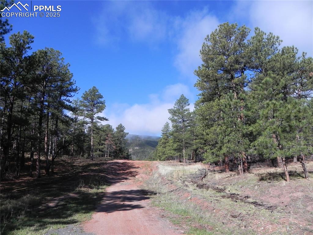 4467 Delaware Drive Larkspur CO 80118