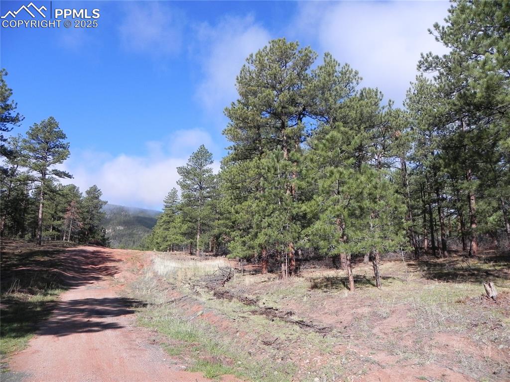 4467 Delaware Drive Larkspur CO 80118