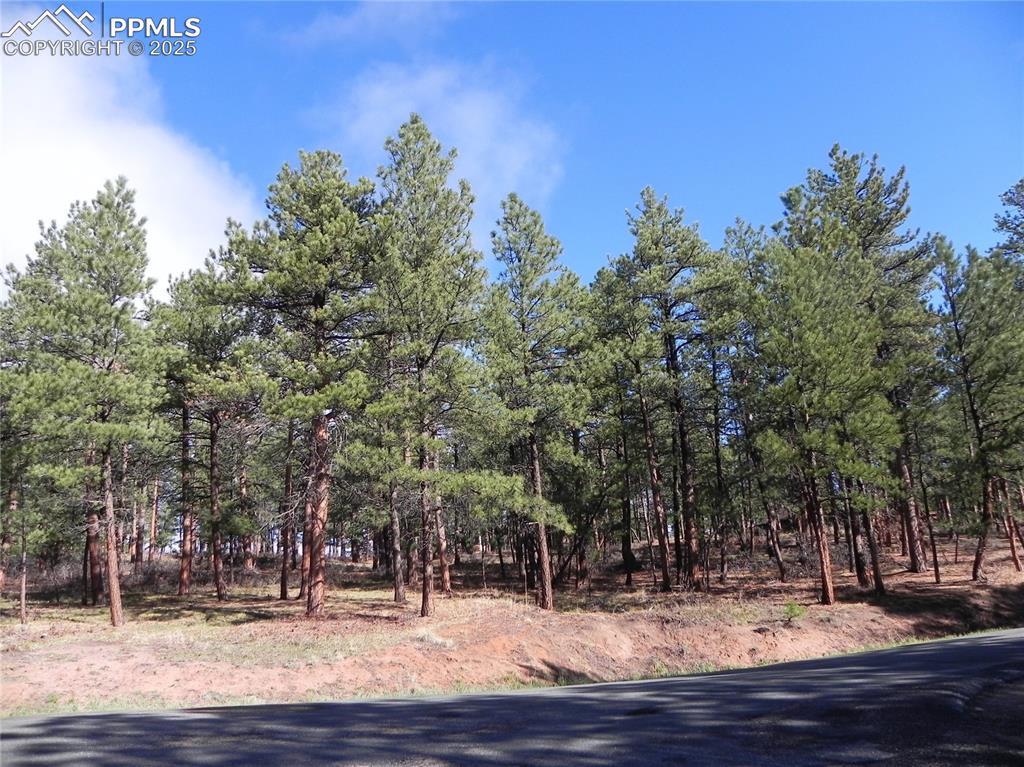 4467 Delaware Drive Larkspur CO 80118
