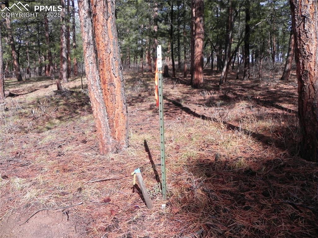 4467 Delaware Drive Larkspur CO 80118