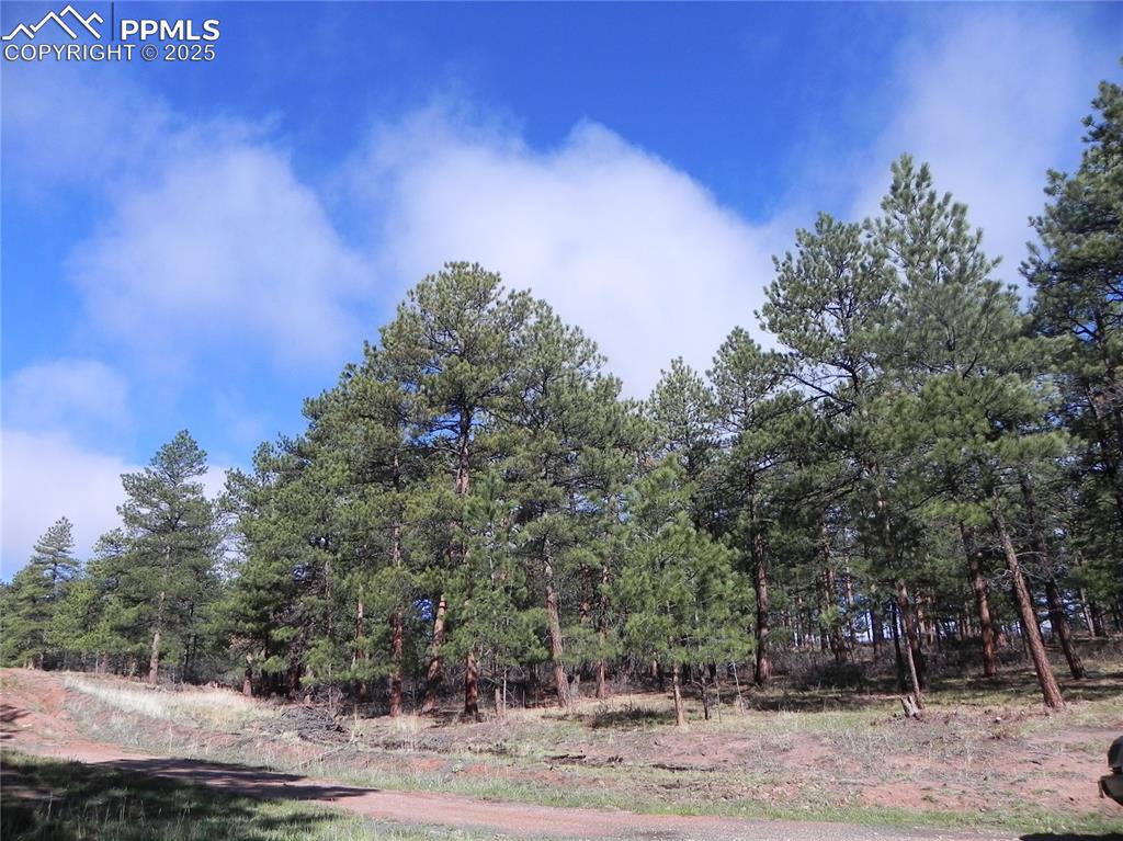 4467 Delaware Drive Larkspur CO 80118