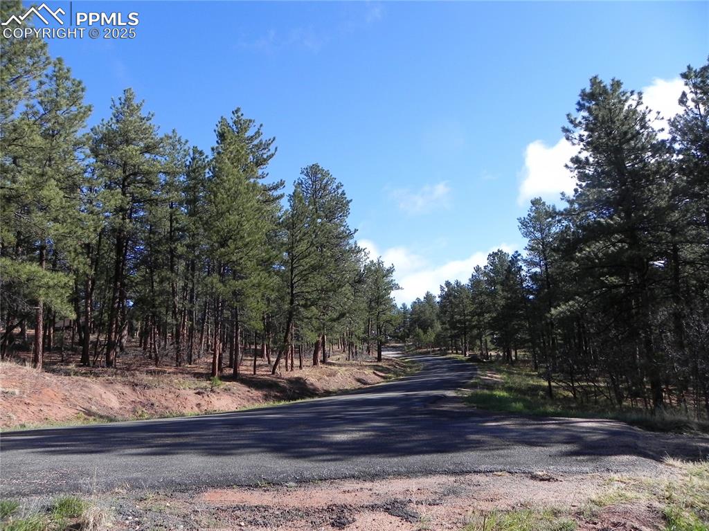 4467 Delaware Drive Larkspur CO 80118