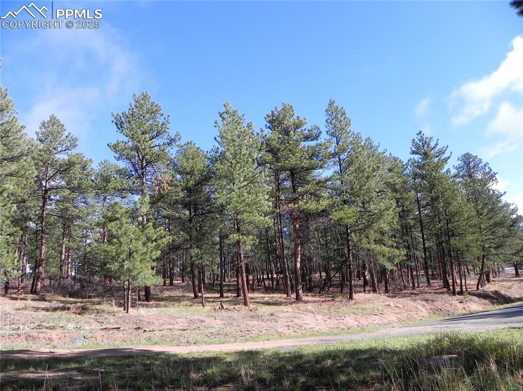 4467 Delaware Drive Larkspur CO 80118