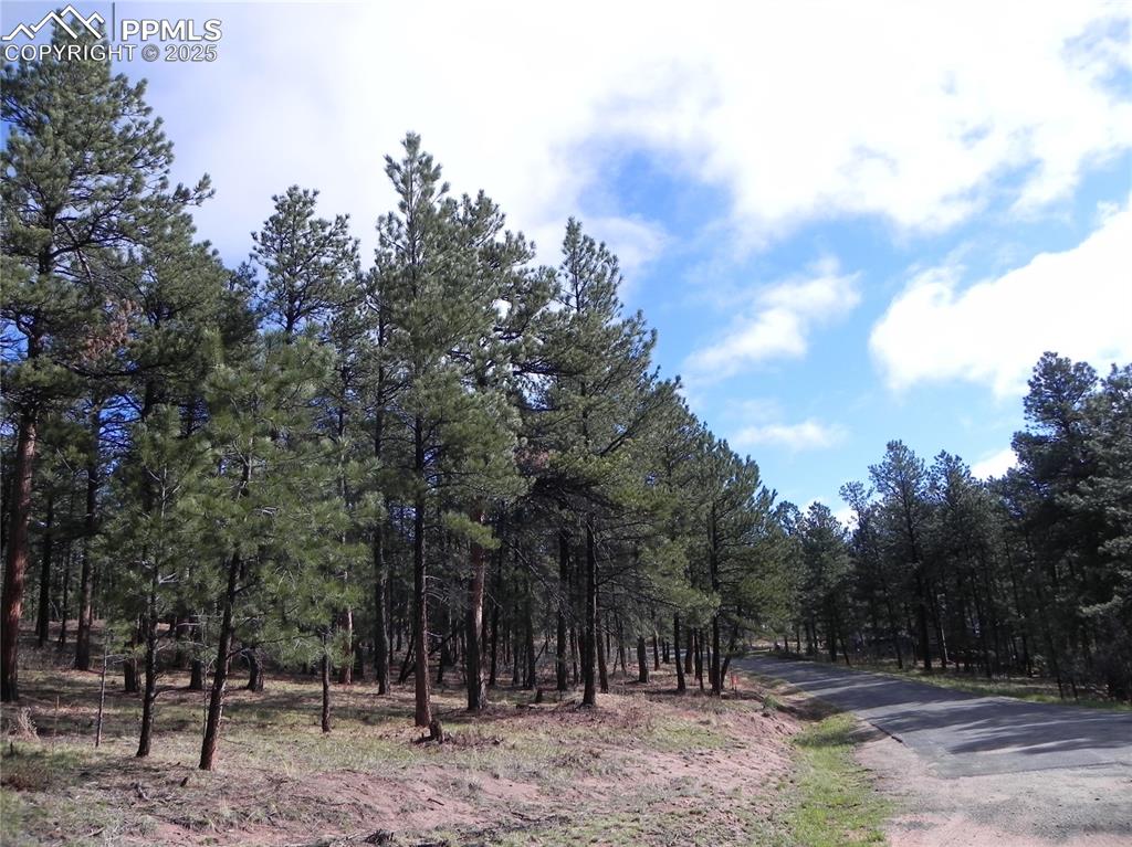 4467 Delaware Drive Larkspur CO 80118