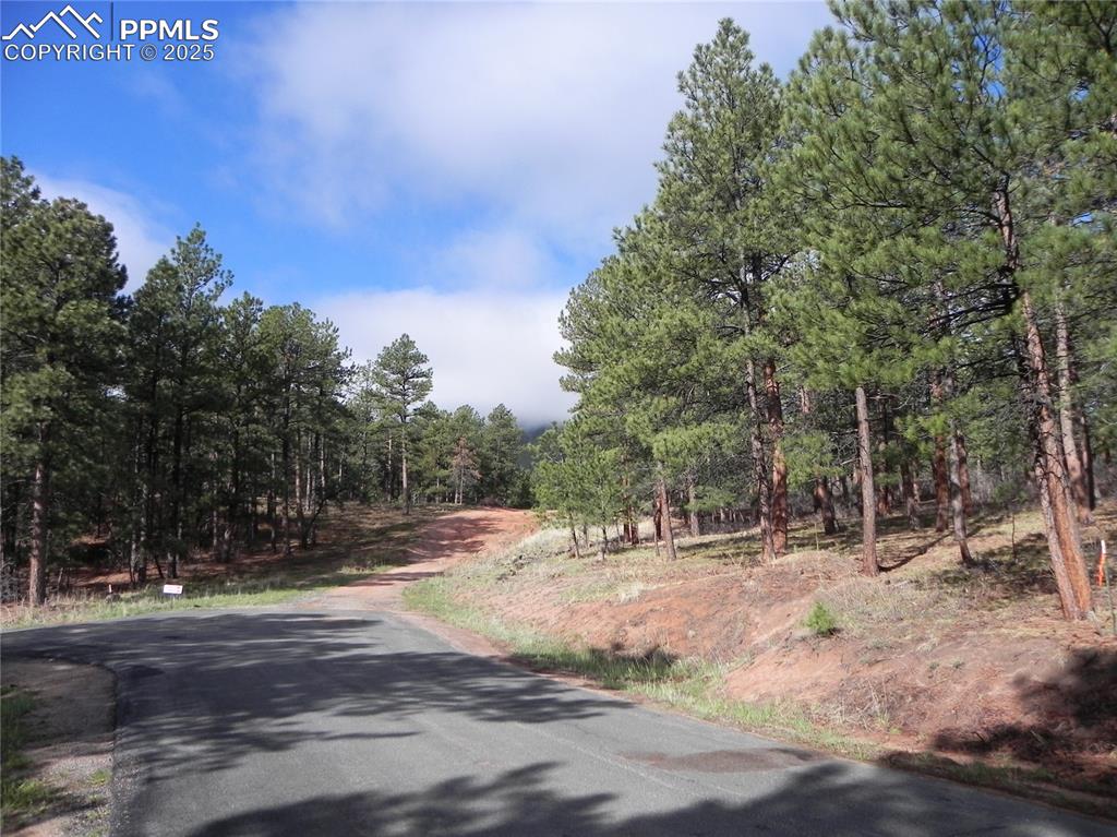 4467 Delaware Drive Larkspur CO 80118