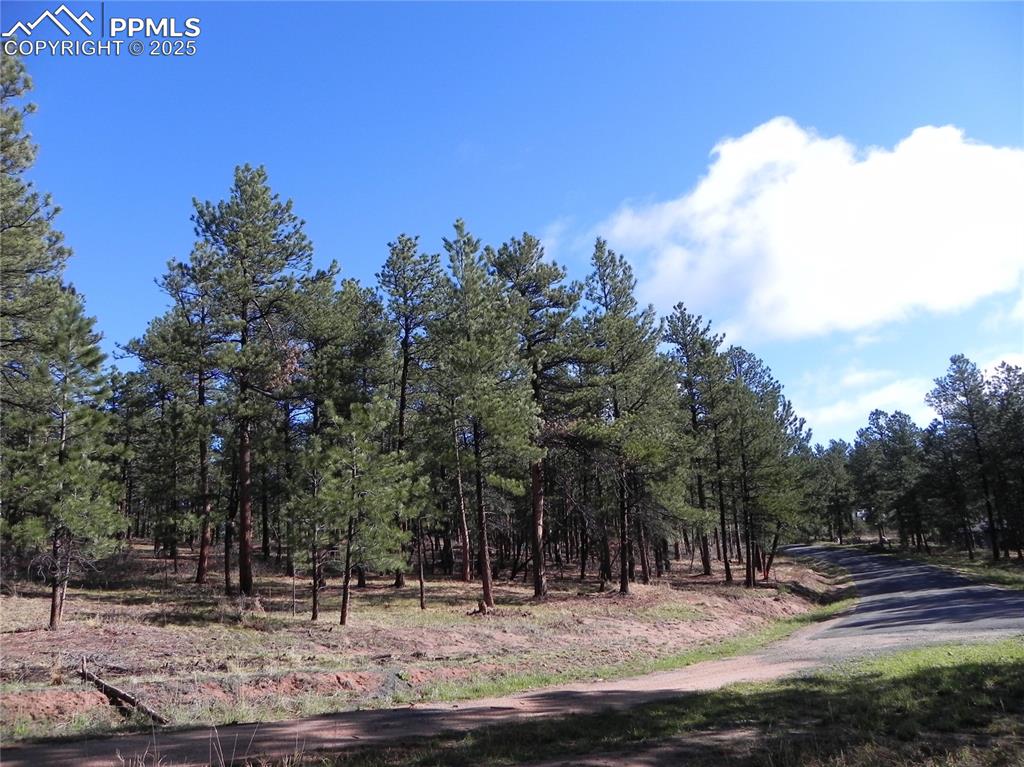 4467 Delaware Drive Larkspur CO 80118