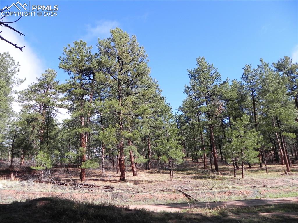4467 Delaware Drive Larkspur CO 80118