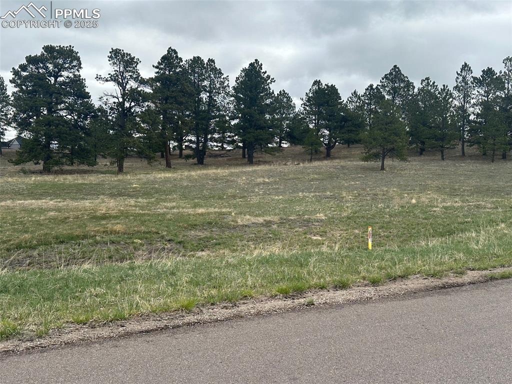 11072 Mosey Trail Colorado Springs CO 80908