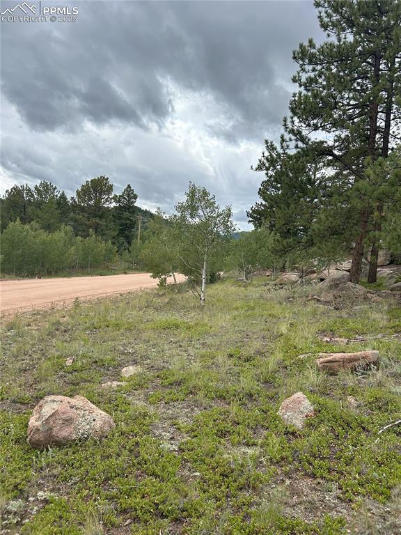 155 County Road 403 Florissant CO 80816