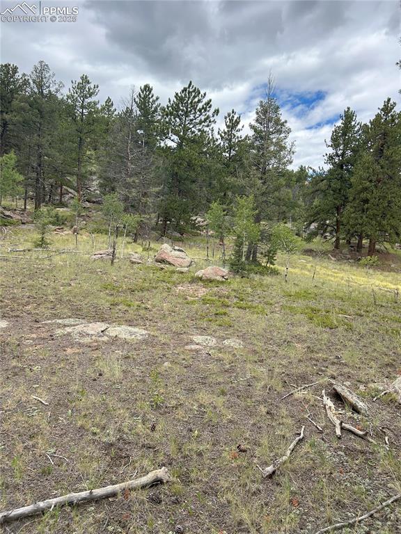 155 County Road 403 Florissant CO 80816
