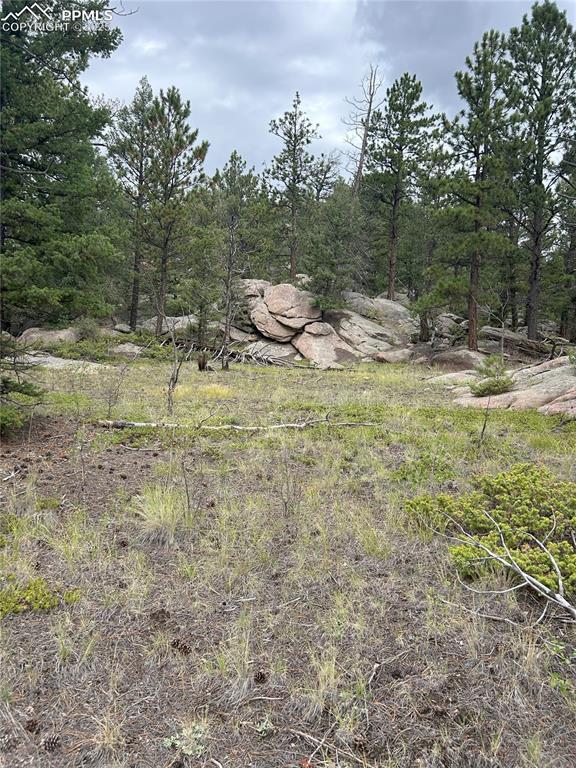 155 County Road 403 Florissant CO 80816
