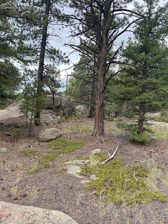 155 County Road 403 Florissant CO 80816