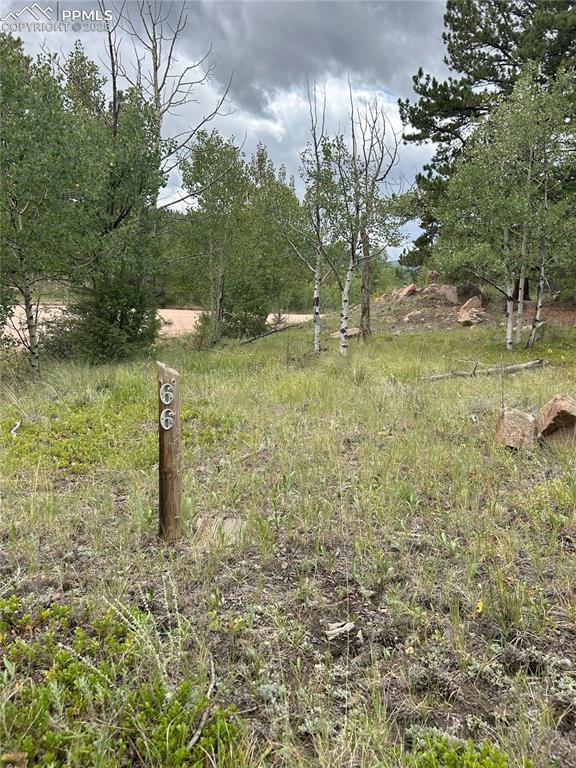 155 County Road 403 Florissant CO 80816