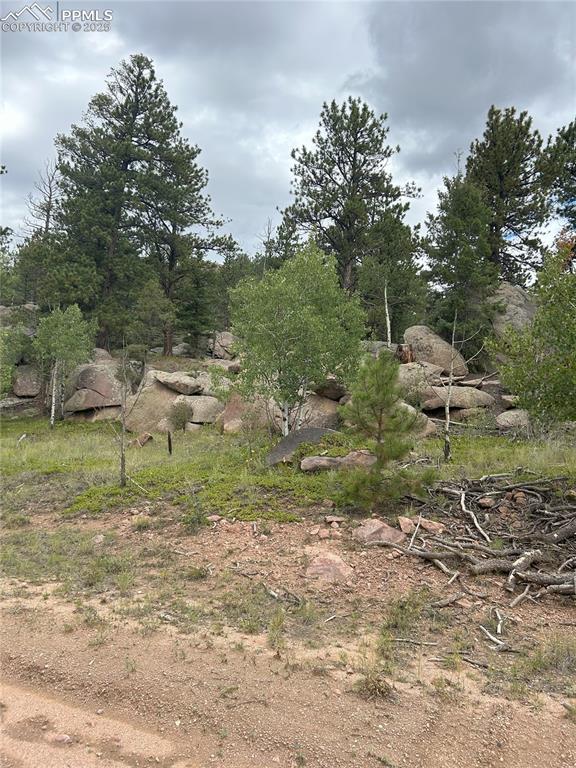 155 County Road 403 Florissant CO 80816