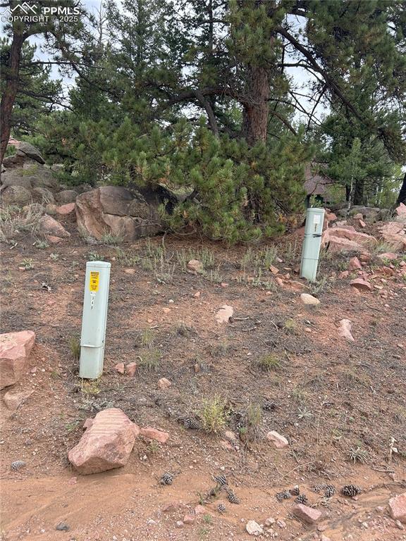 155 County Road 403 Florissant CO 80816