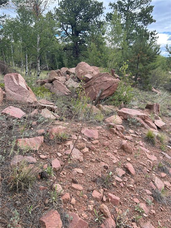 155 County Road 403 Florissant CO 80816