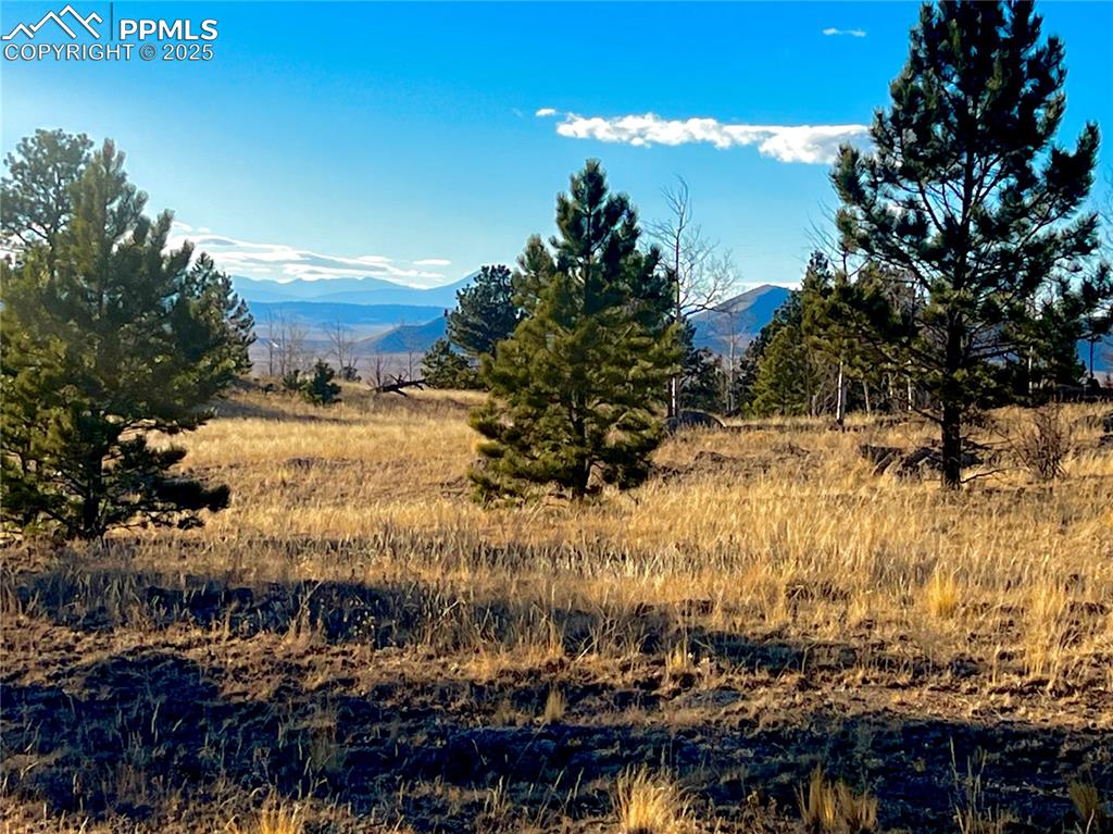 215 Topaz Road Lake George CO 80827
