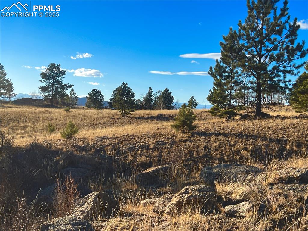 215 Topaz Road Lake George CO 80827