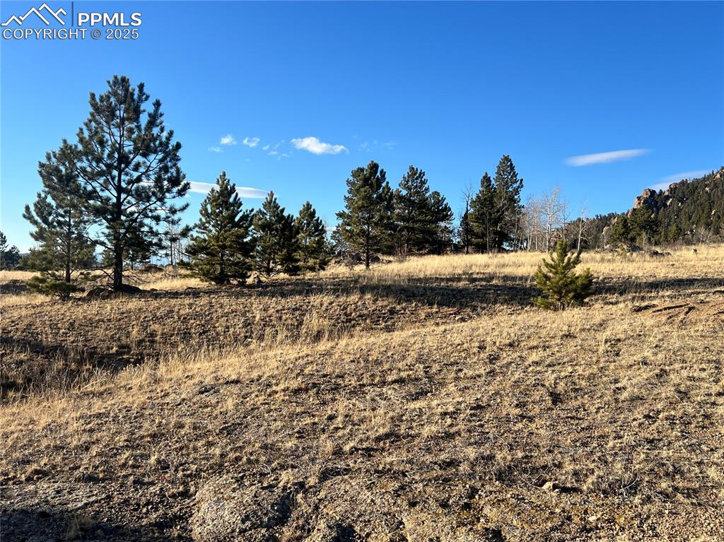 215 Topaz Road Lake George CO 80827