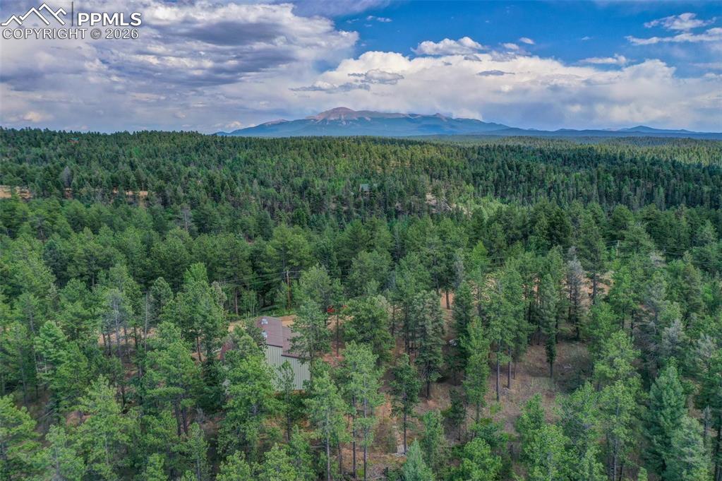449 Woody Creek Road Florissant CO 80816