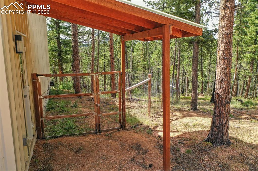 449 Woody Creek Road Florissant CO 80816