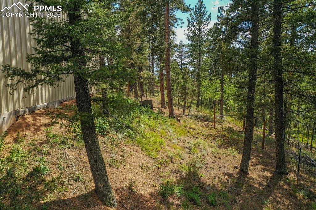 449 Woody Creek Road Florissant CO 80816