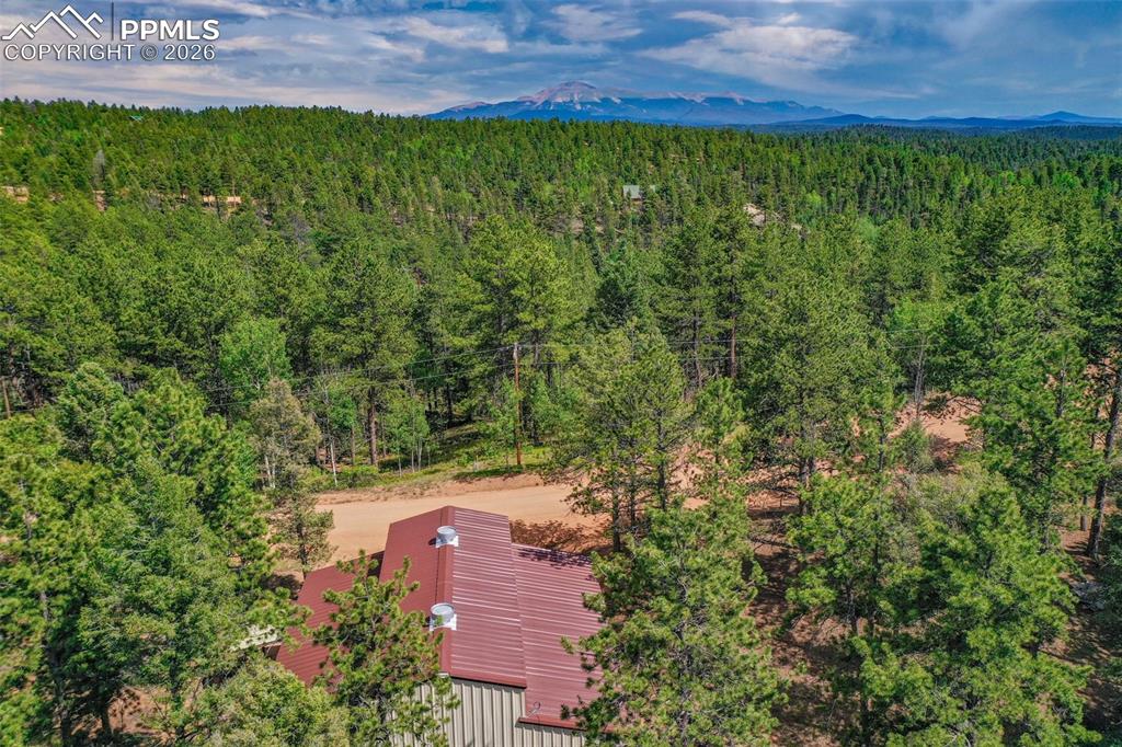 449 Woody Creek Road Florissant CO 80816